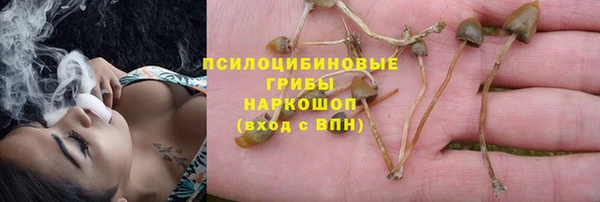 PSILOCYBIN Белоозёрский