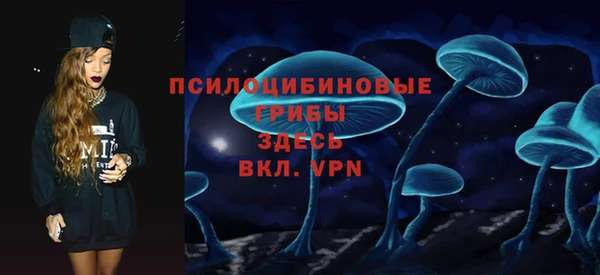 spice Богородск