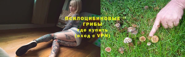 крисы Богданович
