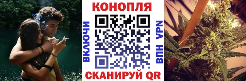 закладка  Ильский  Конопля SATIVA & INDICA 